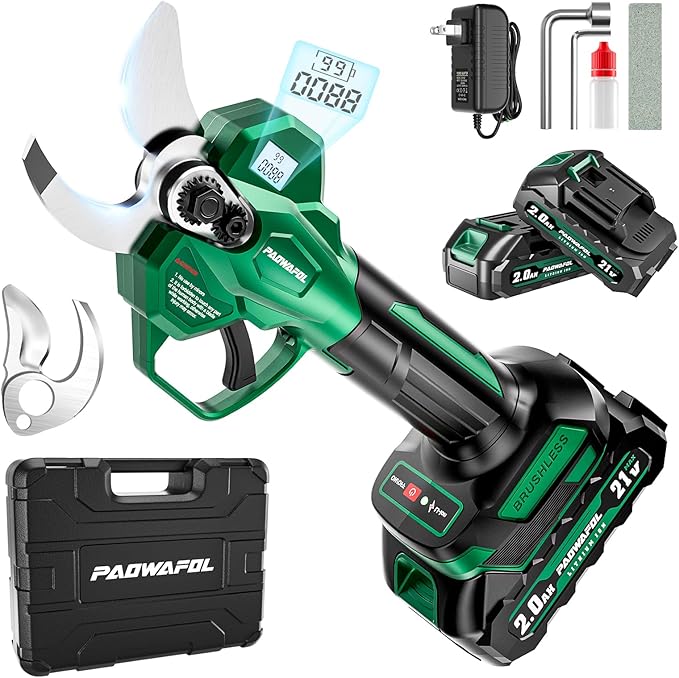 Electric Pruning Shears, 2.1" (54mm) Cutting Diameter Cordless Electric Scissors with LCD Display, 21V Brushless Motor Branch Cutter with 2 PCS Rechargeable 2000mAh Batteries & 2 Blades (Green)