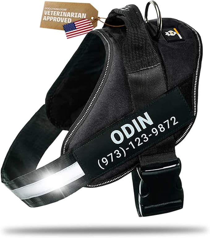 Personalized Dog Harness with Custom Name Patches, Adjustable Reflective No Choke Dog Vest with Handle for Extra Large Dog, Black, XL