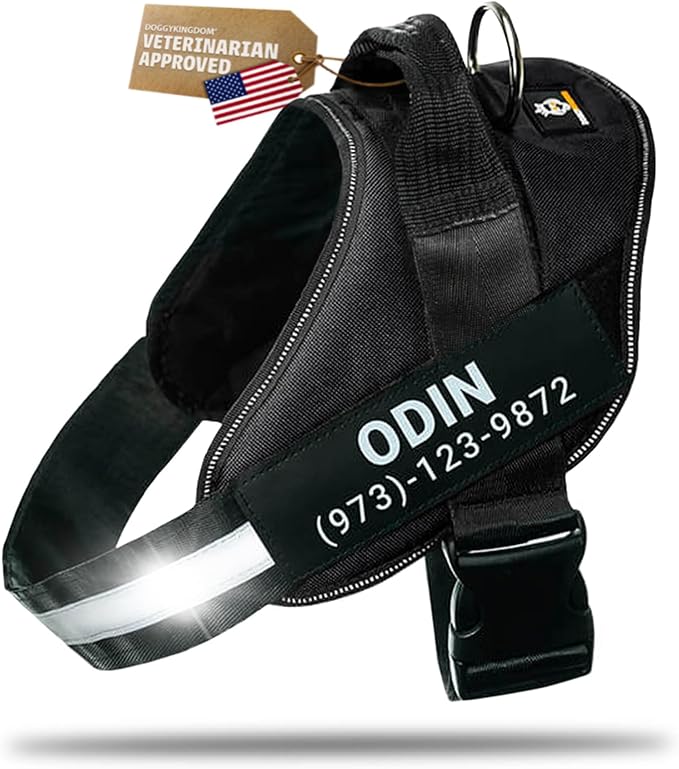 Personalized Dog Harness with Custom Name Patches, Adjustable Reflective No Choke Dog Vest with Handle for Small Dogs and Growing Puppy, Black, XS