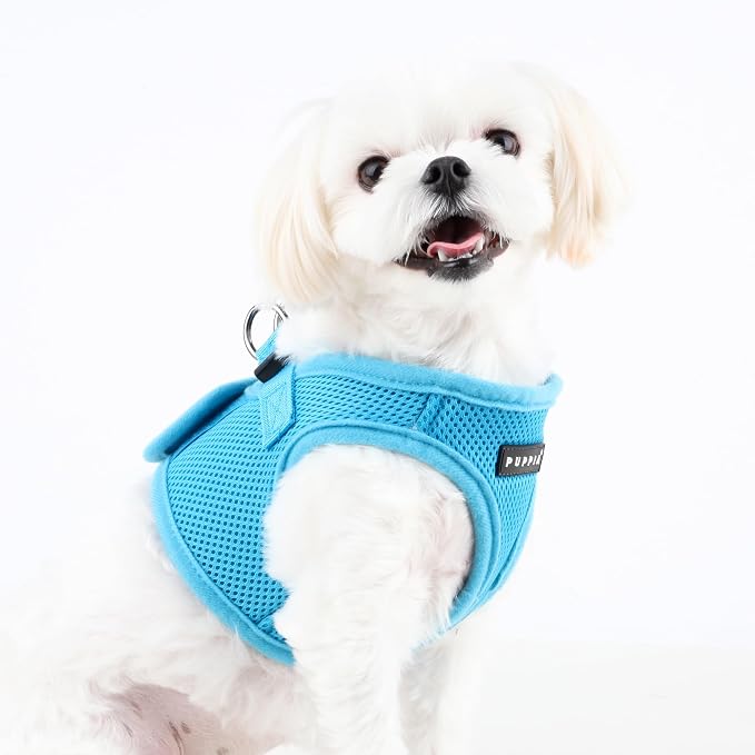 PUPPIA International Harness Soft B Vest, X-Large, Sky Blue