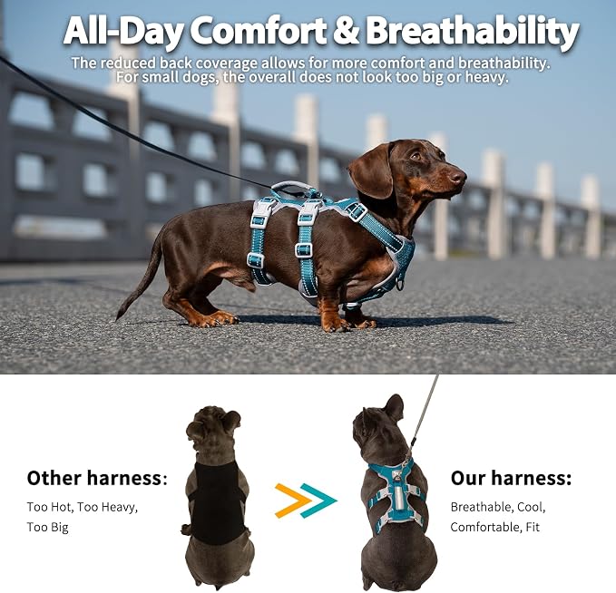 Escape Proof Dog Harness, Escape Artist Harness, Fully Reflective Harness with Padded Handle, Breathable,Durable, Adjustable Vest for Medium Dogs Walking, Training, and Running Gear (Teal,XS)