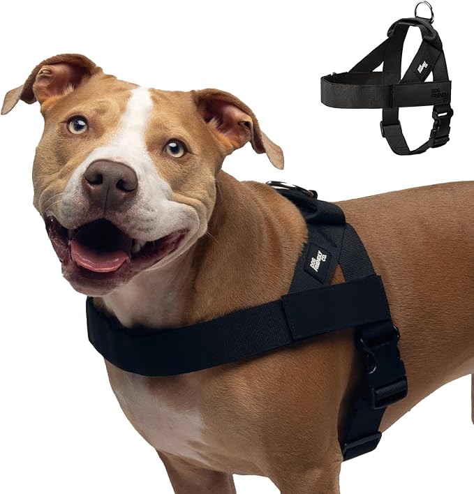 Dog Friendly Co. Dog Harness for Large Sized Dogs (Black, Extra Large) | One Click Buckle, Chafe Resistant Webbing, Adjustable Neck & Chest, and Heavy Duty D-Ring, Sturdy Comfortable and Easy to Use