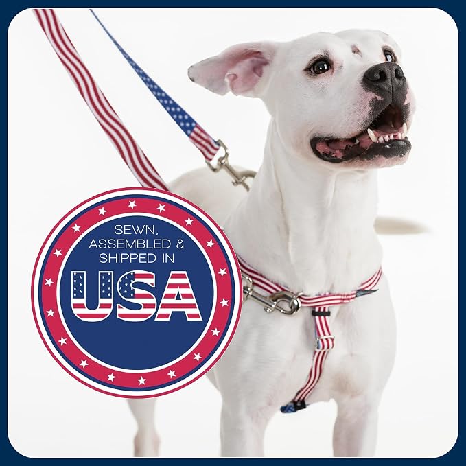 2 Hounds Design Freedom No Pull Dog Harness and Leash, 1" XXL, Neon Orange | Promotes Easy Walking & Comfortable Control, Secure Fit, Adjustable Harness and Leash Set for XXL Sized Dogs, Made in USA