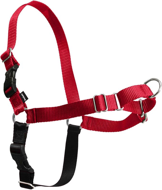 PetSafe Easy Walk Harness, No Pull Dog Harness, Red, Small/Medium | Patented Martingale Loop Gives Gradual Shoulder Pressure to Stop Pulling, Front-Chest Leash Clip Prevents Gagging