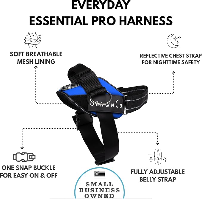 ShawnCo Essential Pro Dog Harness, No-Pull Pet Vest with 3 Leash Clips and Removable, Reflective Side Patches, Adjustable and Padded Harness for Small, Medium and Large Dogs (Electric Blue, S)