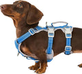 Escape Proof Dog Harness, Secure Dog Harness No Escape, Fully Reflective Harness with Handle,Breathable,Durable, Adjustable Vest for Small Dogs Walking, Training,and Running Gear (Sea Blue,S)