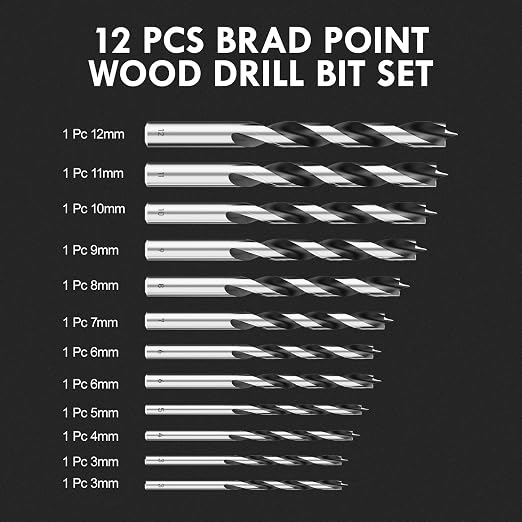 Brad Point Wood Drill Bit Set, 12Pcs Metric Drill Bit Set with Double Flutes Design for Carpenter Woodworking and All Types of Wood (3mm - 12mm)