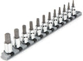 TEKTON Torx Bit Socket Set, 12-Piece | SHB91103 | 3/8 Inch Drive, (T10 - T60), Socket Rail