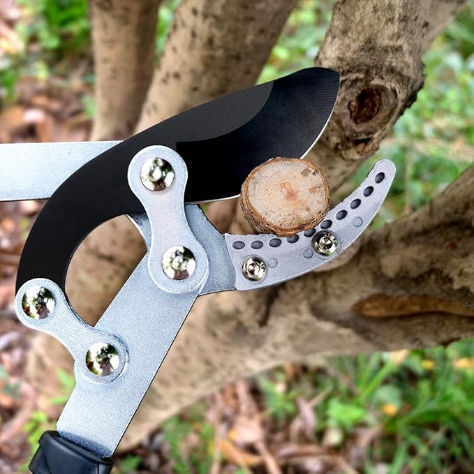 JARDINEER Loppers for Tree Trimming Heavy Duty, 30" Anvil Branch Cutter for Gardening, Manual Tree Trimmer with 2 Inch Cutting Capacity