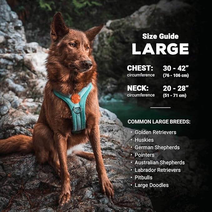 Wilderdog Lightweight Dog Harness with Reflective Straps - Large - Olive