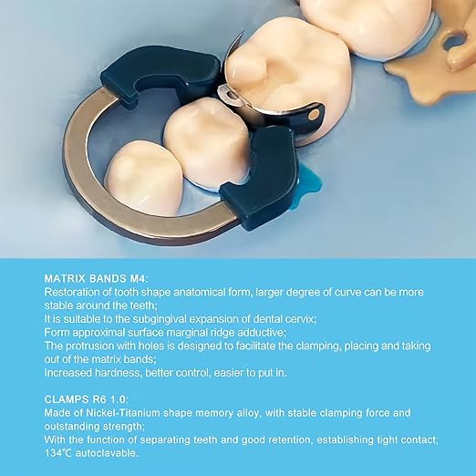 Dental Sectional Matrix System, R6 Nickel Titanium Dental Matrices Clamp Clip Ring, Sectional Contoured Matrix Ring, Autoclavable Dentistry Tools