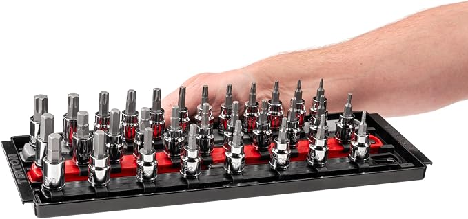 TEKTON Hex and Torx Bit Socket Set, 31-Piece | SHB91203 | 3/8 Inch Drive, (1/8 - 3/8 in., 3 - 10 mm, T10 - T60), Socket Rail