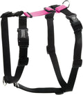 Blue-9 Buckle-Neck Balance Harness, Fully Customizable Fit No-Pull Harness, Ideal for Dog Training and Obedience, Made in The USA, Hot Pink, Medium/Large