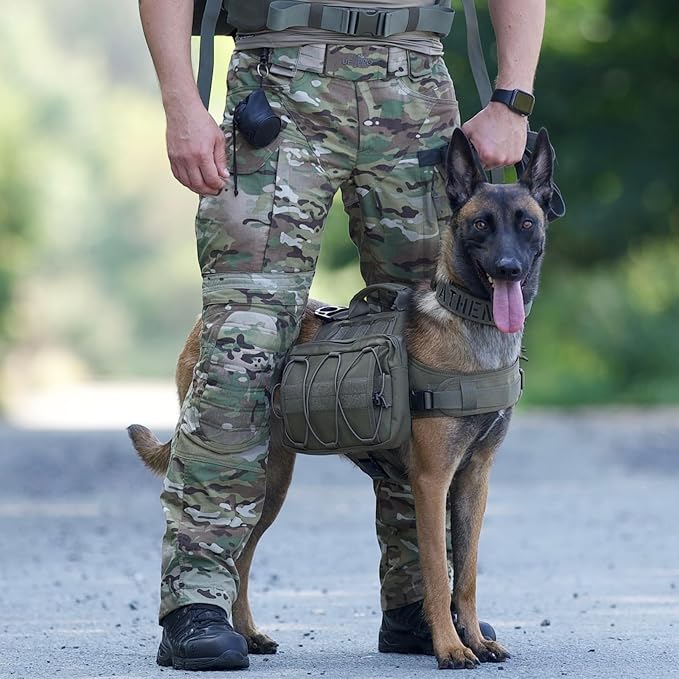 ONETIGRIS Dog Backpack for Medium & Large Dogs, Nylon Backpack for Dogs Tactical Pet Backpack with Side Pockets for Hiking Walking Training Running (Green, Large)