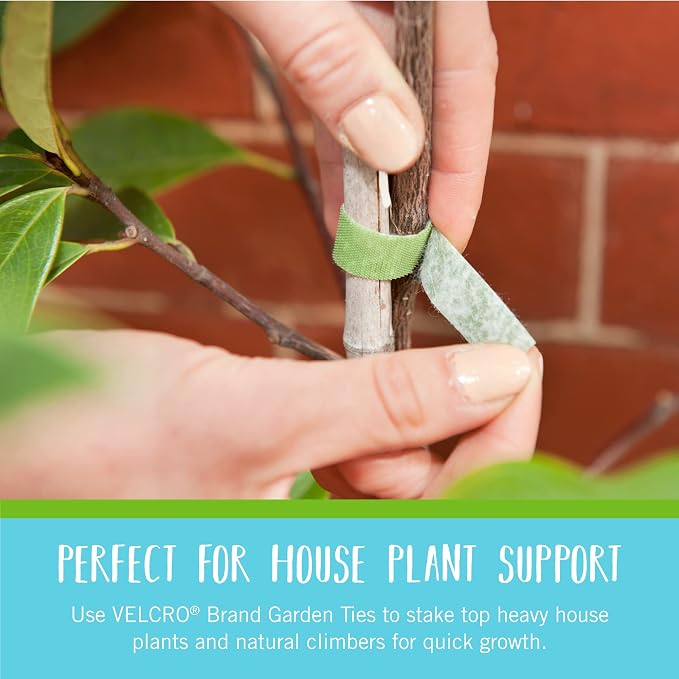 VELCRO Brand VEL-30088-AMS Garden Pre-Cut 45pcs ONE-WRAP Plant Ties Suitable for Tomatoes Flowers or Vegetables in Raised Beds, 8 in X 1/2 in, Green-Recycled Plastic