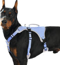 Escape Proof Dog Harness, Dachshund Harness, Reflective Dog Harness with Handle, Durable,Adjustable Vest for Small Medium Large Dogs Walking, Training, and Running Gear (Technicolor Blue,XL)