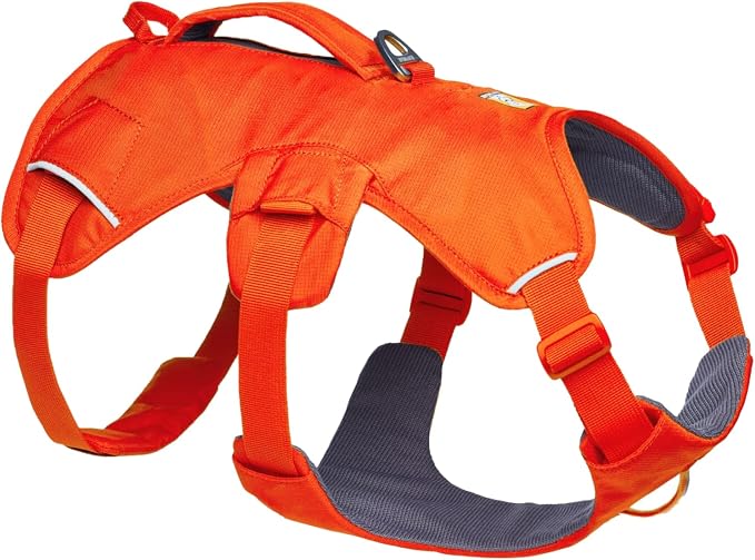 Ruffwear, Web Master, Multi-Use Support Dog Harness, Hiking and Trail Running, Service and Working, Everyday Wear, Blaze Orange, Medium
