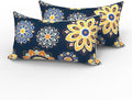 LVTXIII 2 Pack Outdoor Lumbar Pillows 12x20 Inch with White Piping, Fade Resistant Support Throw Pillows with Inserts for Patio Furniture, Sofa, Chair, Bloom Cobalt