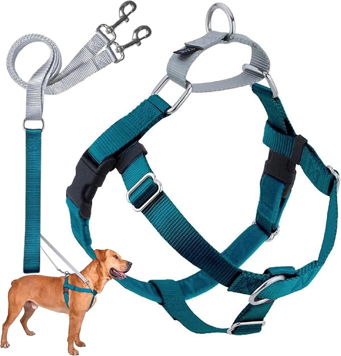 2 Hounds Design Freedom No Pull Dog Harness, Adjustable Harness and Leash Set, Easy Walking & Comfortable Control, Fits Small, Medium & Large Dogs, Solid Colors, Made in USA, 1" LG, Teal | Promotes Easy Walking & Comfortable Control, Secure Fit, Adjust...