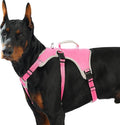 Escape Proof Dog Harness, Dachshund Harness, Reflective Dog Harness with Handle, Durable,Adjustable Vest for Small Medium Large Dogs Walking, Training, and Running Gear (Rose red,XL)