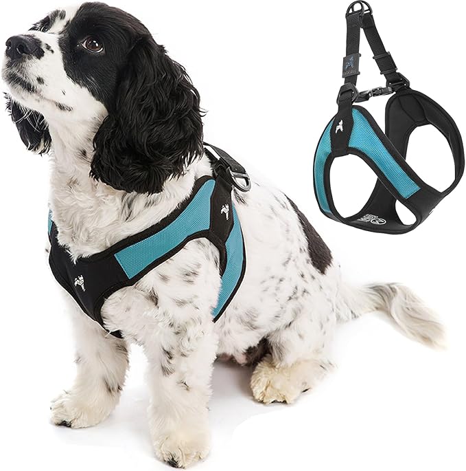 Gooby Escape Free Easy Fit Dog Harness, Step-in, Turquoise, Large | Patented escape-free frame; Contracts if they back out; Step-in easy on/off; Machine washable; Light POM leash ring