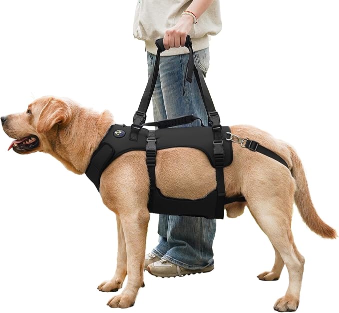 COODEO Dog Lift Harness for Large Dogs, Full Body Support Mobility Aid for Senior Dogs, Adjustable Help for Weak Hind Legs, Arthritis, Stairs & Cars(Black,XXL)