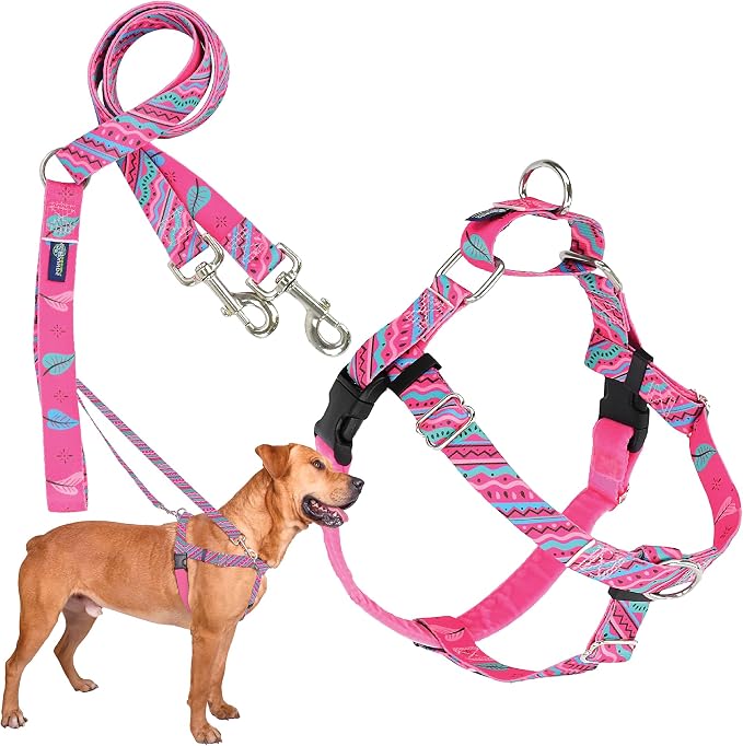 2 Hounds Design Freedom No Pull Dog Harness, Adjustable Harness and Leash Set, Easy Walking & Comfortable Control, Fits Small, Medium & Large Dogs, Color Design, Made in USA, 1" MD, 1980s