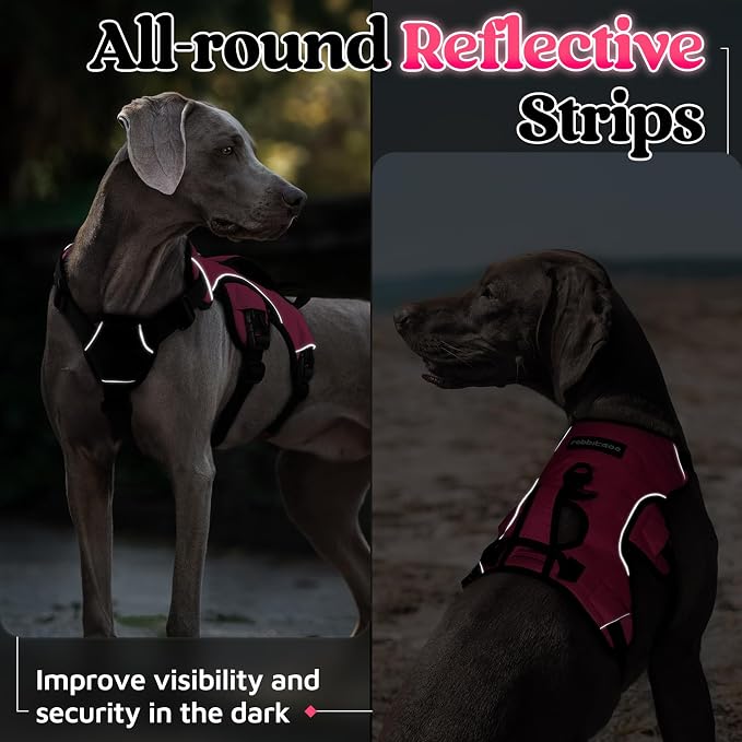rabbitgoo Escape Proof Dog Harness for X-Large, No Pull with Lift Handle | No Escape, Full Soft Padded, Reflective Adjustable Vest, Leash Clip for Walking Hiking Training, Peach Pink, X-Large