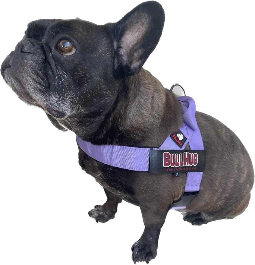 Adjustable Dog Harness– No Pull, No Choke – for English Bulldogs, French Bulldogs, Pugs & Broad-Chested Breeds – Easy, Safe Walks (Purple, Small)