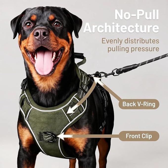 3-in-1 Dog Vest Harness Leash Set for Daily,Service,Training Animal X Large