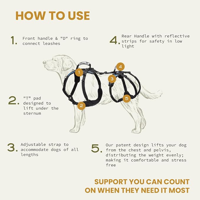 Help 'Em Up® - Dog Lift Harness│ Adjustable Lifting Harness for Dogs │ Full Body Support, Rear Leg Support (Conventional, XL, 125-225 lbs)