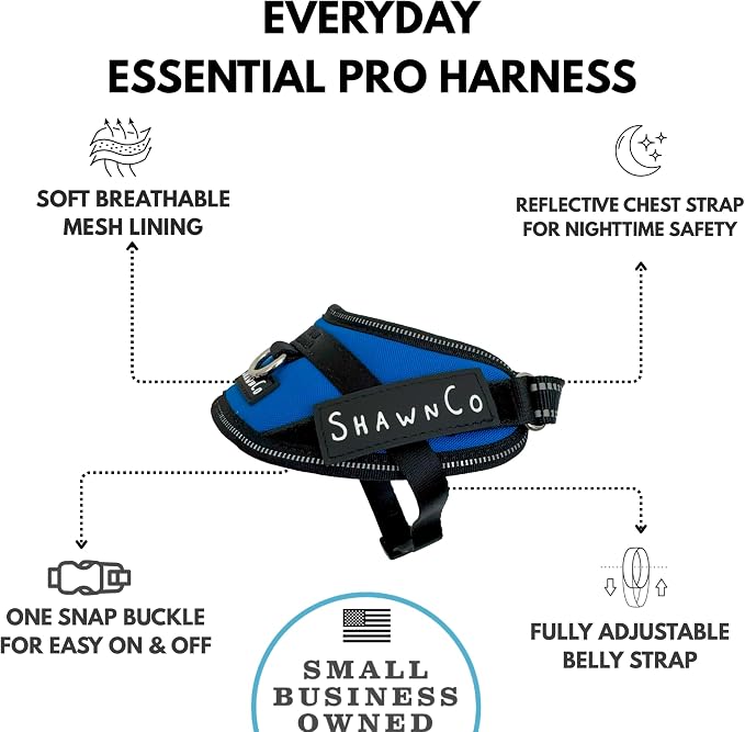 ShawnCo Essential Pro Dog Harness, No-Pull Pet Vest with Removable, Reflective Side Patches, Adjustable and Padded Harness for Small, Medium and Large Dogs (Electric Blue, XS)