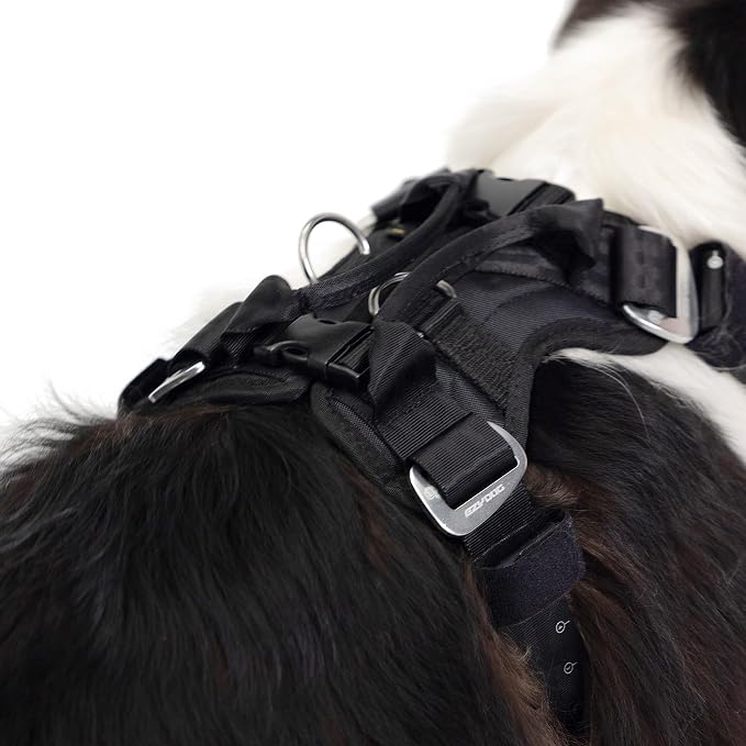EzyDog Drive Dog Car Harness, Crash Tested and Certified - Small | US-FMVSS 213 Certified Dog Seat Belt Harness, Adjustable, Padded Comfort Chest Plate, Dual Metal SR Buckles
