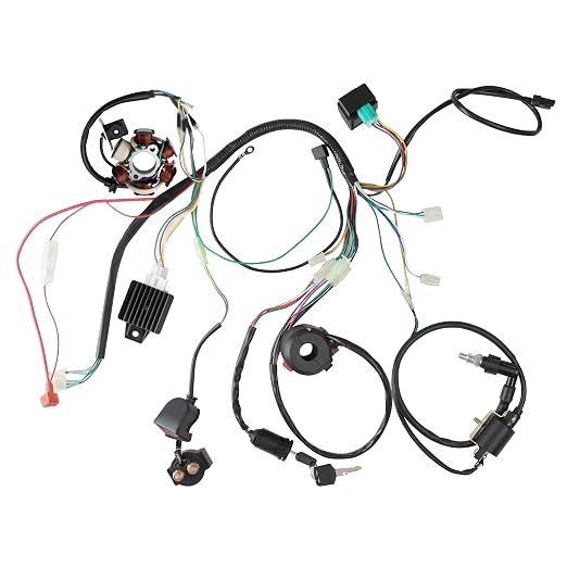 PRO BAT Full Electrics Wiring Harness Kit | for 50cc 70cc 90cc 110cc 125cc Chinese ATV Quad Bike 4 Wheeler Baja Coolster SunL Taotao JCL with CDI Coil Magneto Stator