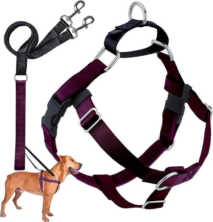 2 Hounds Design Freedom No Pull Dog Harness and Leash, 1" XXL, Burgundy | Promotes Easy Walking & Comfortable Control, Secure Fit, Adjustable Harness and Leash Set for XXL Sized Dogs, Made in USA