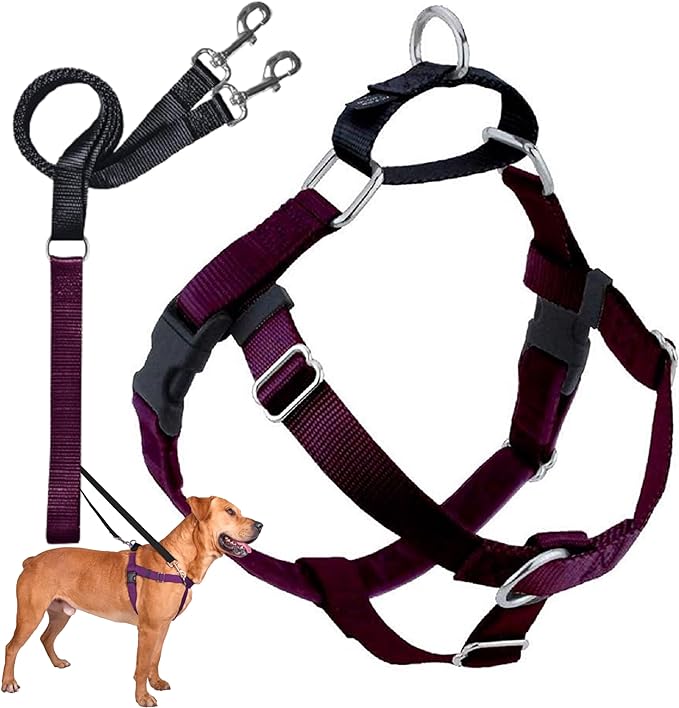 2 Hounds Design Freedom No Pull Dog Harness and Leash, 1" MD, Burgundy | Promotes Easy Walking & Comfortable Control, Secure Fit, Adjustable Harness and Leash Set for Medium Sized Dogs, Made in USA