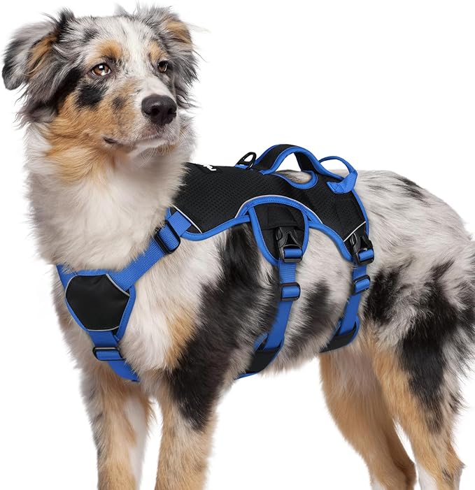 rabbitgoo Escape Proof Dog Harness for Medium, No Pull with Lift Handle | No Escape, Full Soft Padded, Reflective Adjustable Vest, Leash Clip for Walking Hiking Training, Blue & Black, Medium