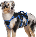 rabbitgoo Escape Proof Dog Harness for Medium, No Pull with Lift Handle | No Escape, Full Soft Padded, Reflective Adjustable Vest, Leash Clip for Walking Hiking Training, Blue & Black, Medium