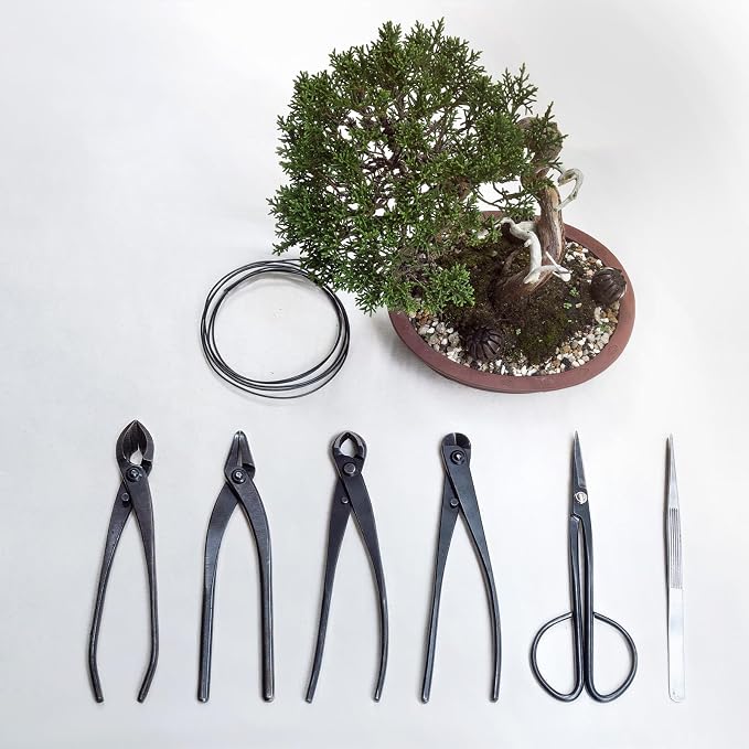 M METERXITY Bonsai Tool - 8.3 Inch Stainless Steel Knob Cutter, Bonsai Tree Plants Modeling Tools, Applying to Gardening Pruning Knobs/Tumors (210mm, Silver)