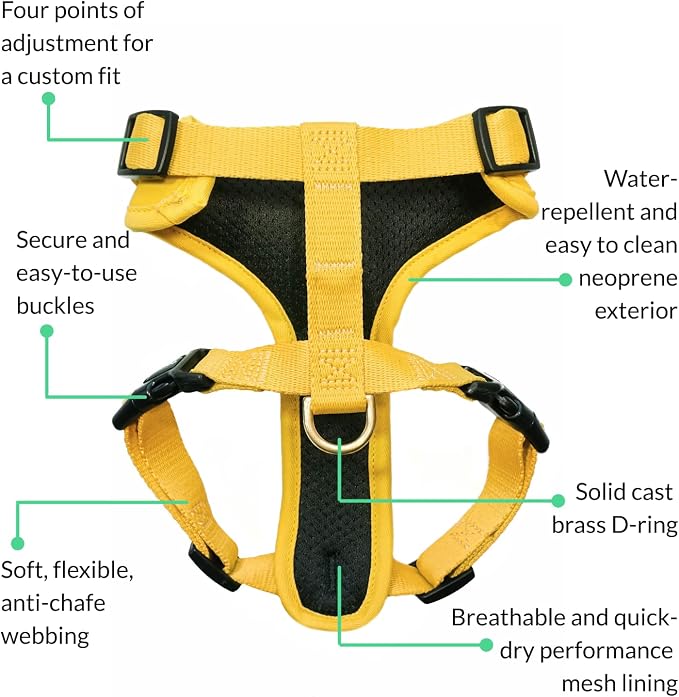 Adventure Dog Harness - Stylish Small Dog Harness for Outdoor Adventures and Everyday Wear - Dandelion Yellow Neoprene Adjustable Harness for Dogs with Reflective Piping and Solid Brass D-Ring
