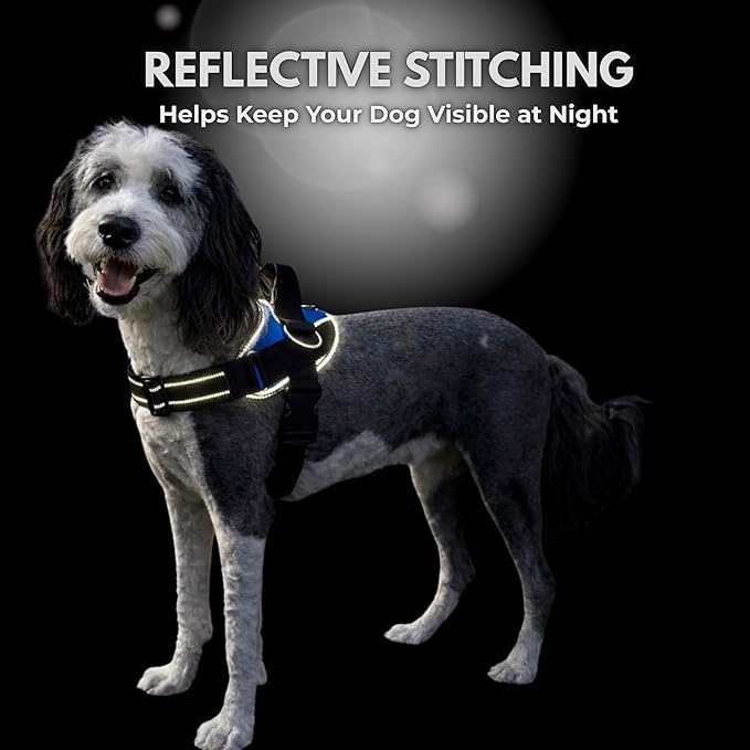 ShawnCo Essential Dog Harness, No-Pull Pet Vest (Stars and Stripes,XL) | 3 Leash Clips, Easy On, No-Choke, Reflective, Adjustable Fit, Padded Comfort, Control Handle, For Small, Medium & Large Dogs