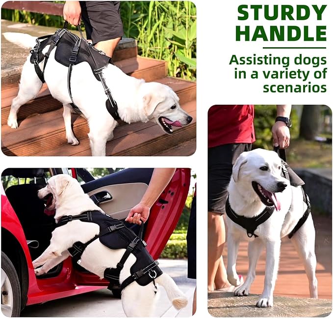 PUPTECK Dog Lift Harness for Medium Large Sized Dog, Rehabilitation Sling for Hind Leg Support, Multifunctional Mobility Assistance Harness for Old, Disabled, Joint Injuries, Paralysis Dog, Black XL