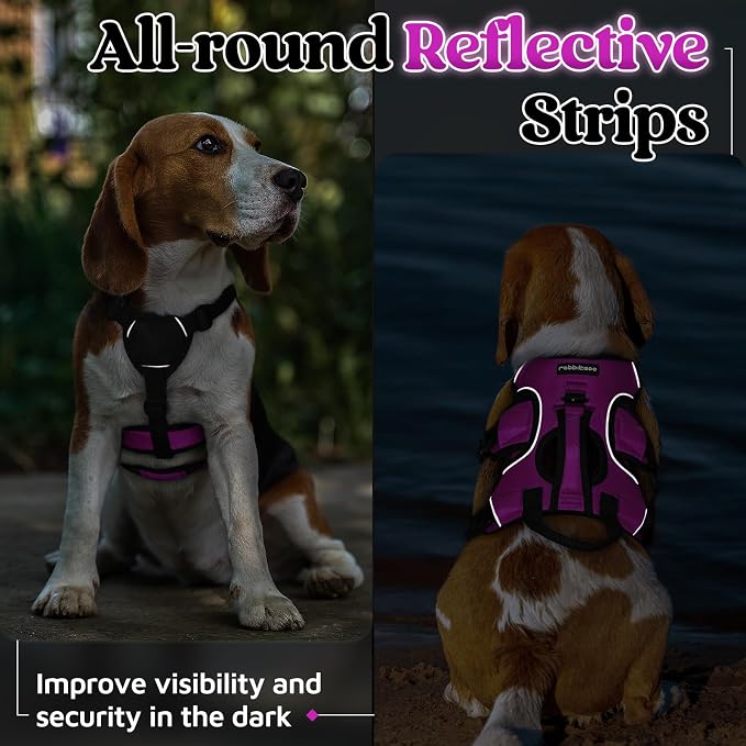 rabbitgoo Escape Proof Dog Harness for Small, No Pull with Lift Handle | No Escape, Full Soft Padded, Reflective Adjustable Vest, Leash Clip for Walking Hiking Training, Purple, Small