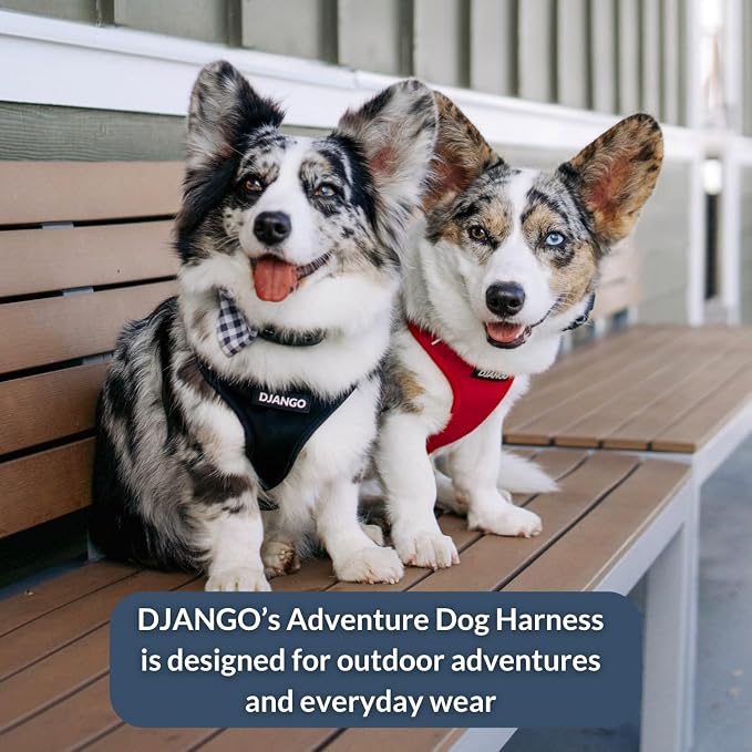 Adventure Dog Harness - Stylish and Durable Medium Dog Harness for Outdoor Adventures and Everyday Wear - Red Neoprene Adjustable Harness for Dogs with Reflective Piping, Solid Brass D-Ring