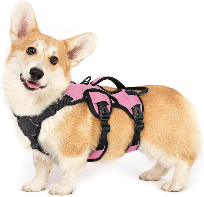 rabbitgoo Escape Proof Dog Harness for Small, No Pull with Lift Handle | No Escape, Full Soft Padded, Reflective Adjustable Vest, Leash Clip for Walking Hiking Training, Pink, Small