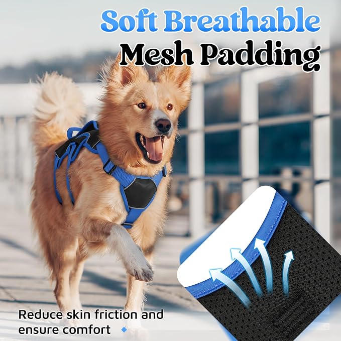 rabbitgoo Escape Proof Dog Harness for Medium, No Pull with Lift Handle | No Escape, Full Soft Padded, Reflective Adjustable Vest, Leash Clip for Walking Hiking Training, Blue & Black, Medium