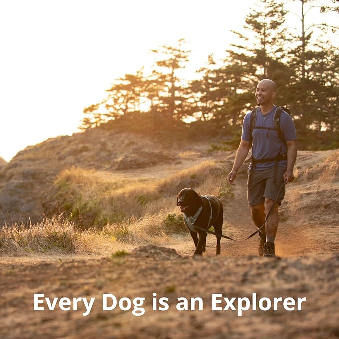 Ruffwear, Front Range Dog Harness, Reflective Soft Padded Everyday Harness with Dual Leash Clips, Adjustable and Lightweight Fit for Training or Walking for All Dogs, Red Canyon, X-Small