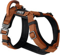 MADE TO ROAM Premium Explorer Harness - Y-Shaped Dog Harness with Adjustable Durable Nylon, Soft Padding, Metal Buckles and Leather Handle for Small, Medium, Large Dogs (Nevada Evening, Size 4)
