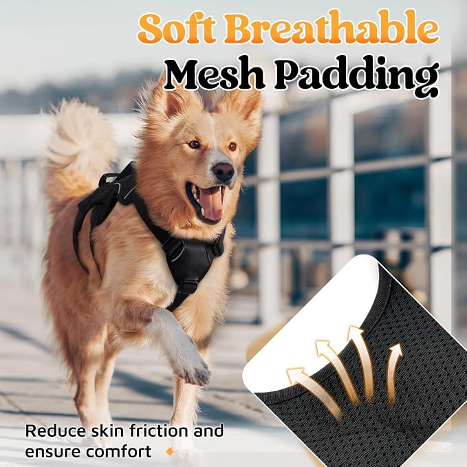 rabbitgoo Escape Proof Dog Harness for Medium, No Pull with Lift Handle | No Escape, Full Soft Padded, Reflective Adjustable Vest, Leash Clip for Walking Hiking Training, Black, Medium