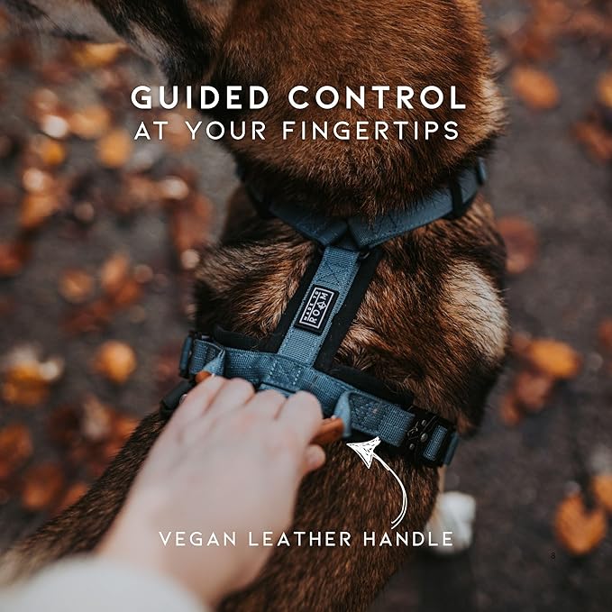 MADE TO ROAM Premium Explorer Harness - Y-Shaped Dog Harness with Adjustable Durable Nylon, Soft Padding, Metal Buckles and Leather Handle for Small, Medium, Large Dogs (Alaska Daybreak, Size 4)